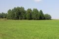 SPRZEDAM DZIAK ROLN 3,299 M2