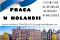 Praca W Holandii - Szklarnie/sortownie/produkcja